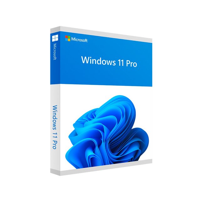 Windows 11 Professional Retail License Key